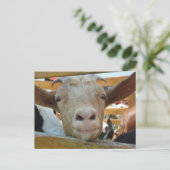 Hallo Briefkaart (Staand voorkant)