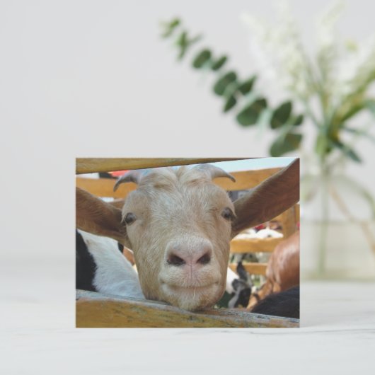 Hallo Briefkaart (Staand voorkant)