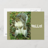 hallo briefkaart (Voorkant / Achterkant)