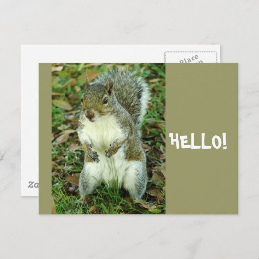 hallo briefkaart (Voorkant / Achterkant)