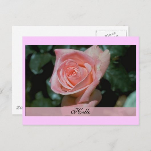 hallo briefkaart (Voorkant / Achterkant)