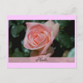 hallo briefkaart (Voorkant)