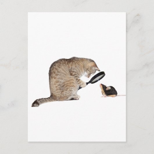 hallo? briefkaart (Voorkant)