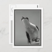 hallo briefkaart (Voorkant / Achterkant)