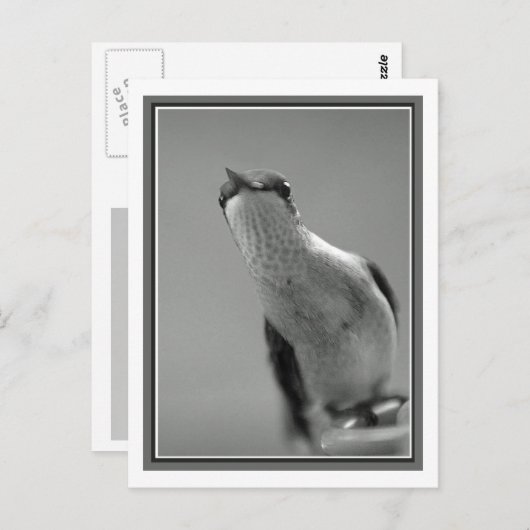 hallo briefkaart (Voorkant / Achterkant)