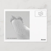 hallo briefkaart (Achterkant)