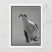 hallo briefkaart (Voorkant)