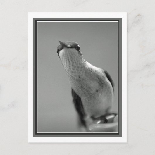 hallo briefkaart (Voorkant)