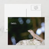 Hallo Briefkaart (Voorkant / Achterkant)