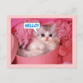 hallo briefkaart (Voorkant)