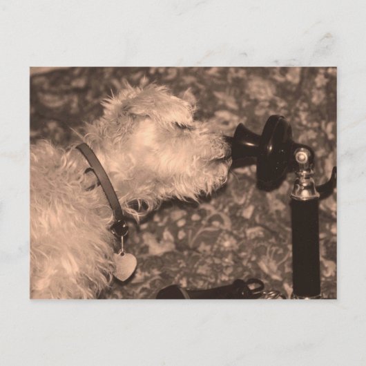 hallo briefkaart (Voorkant)