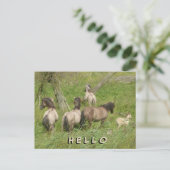 Hallo Briefkaart Mooie wilde paarden (Staand voorkant)