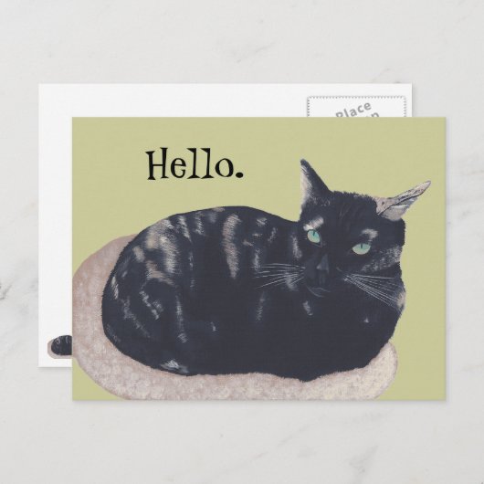 Hallo Briefkaart Resting Tortoise Shell Cat Painti (Voorkant / Achterkant)