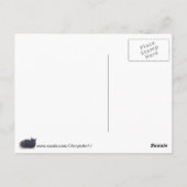 Hallo Briefkaart Resting Tortoise Shell Cat Painti (Achterkant)