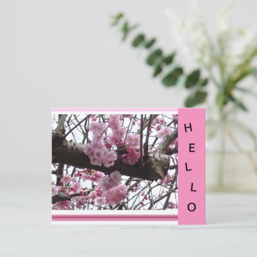 Hallo Briefkaart Roze Prunus Blossoms (Staand voorkant)