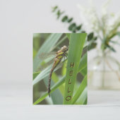 Hallo Briefkaart Spring Hawker Dragonfly (Staand voorkant)