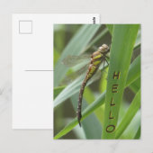 Hallo Briefkaart Spring Hawker Dragonfly (Voorkant / Achterkant)