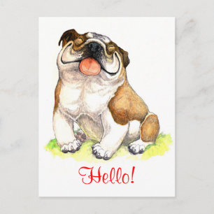 Hallo Bulldog Puppy Honden Wenskaart Briefkaart