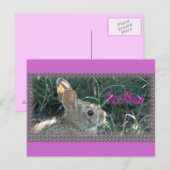 hallo Bunny Briefkaart (Voorkant / Achterkant)