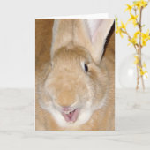 hallo bunny kaart (Gele Bloem)