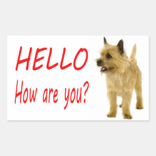 Hallo Cairn Terrier Puppies Hond Begroetingssticke Rechthoekige Sticker