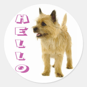 Hallo Cairn Terrier Puppies Hond Begroetingssticke Ronde Sticker
