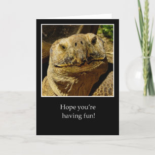 Hallo Camper naar lachende schildpad Kaart