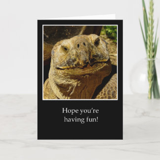 Hallo Camper naar lachende schildpad Kaart