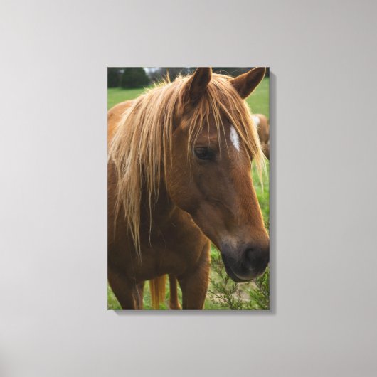 Hallo Canvas Afdruk (Voorkant)