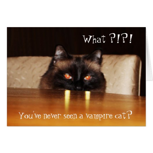 hallo Card Cute Funny Vampire Cat Photo (Voorkant Horizontaal)