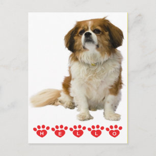 Hallo Cavalier King Charles Puppy Hond Roze Briefkaart