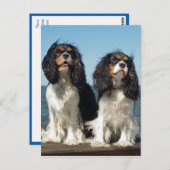 hallo Cavalier King Charles Spaniel Puppy Dog Briefkaart (Voorkant / Achterkant)