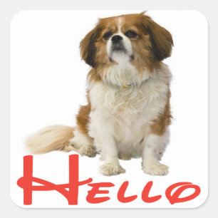 Hallo Cavalier King Charles Spaniel Puppy Hond Vierkante Sticker