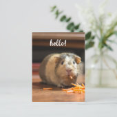Hallo Cavia Funny Briefkaart (Staand voorkant)