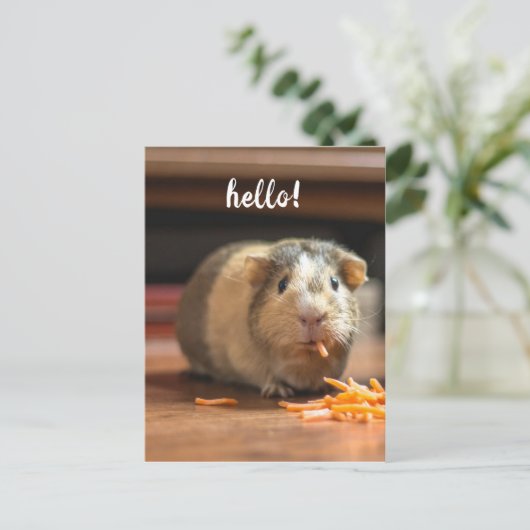 Hallo Cavia Funny Briefkaart (Staand voorkant)