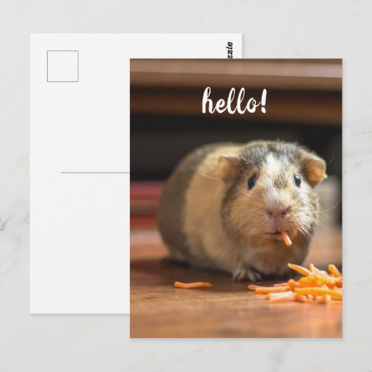 Hallo Cavia Funny Briefkaart (Voorkant / Achterkant)