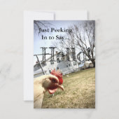 "Hallo!" Chicken Card Bedankkaart (Voorkant)