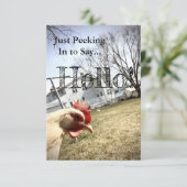 "Hallo!" Chicken Card Bedankkaart (Staand voorkant)