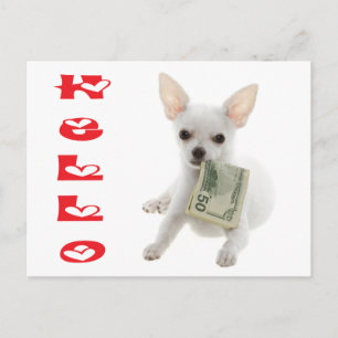Hallo Chihuahua Puppies Hond Postkaart