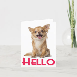 Hallo Chihuahua Puppy Dog Blank Kaart