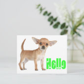 hallo Chihuahua Puppy Dog Post Card Briefkaart (Staand voorkant)