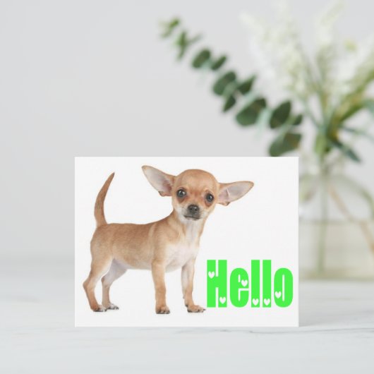 hallo Chihuahua Puppy Dog Post Card Briefkaart (Staand voorkant)