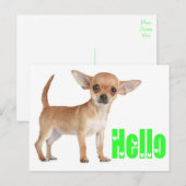 hallo Chihuahua Puppy Dog Post Card Briefkaart (Voorkant / Achterkant)