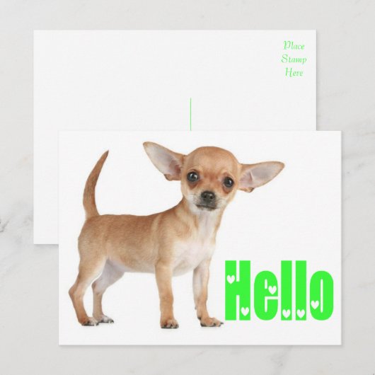hallo Chihuahua Puppy Dog Post Card Briefkaart (Voorkant / Achterkant)