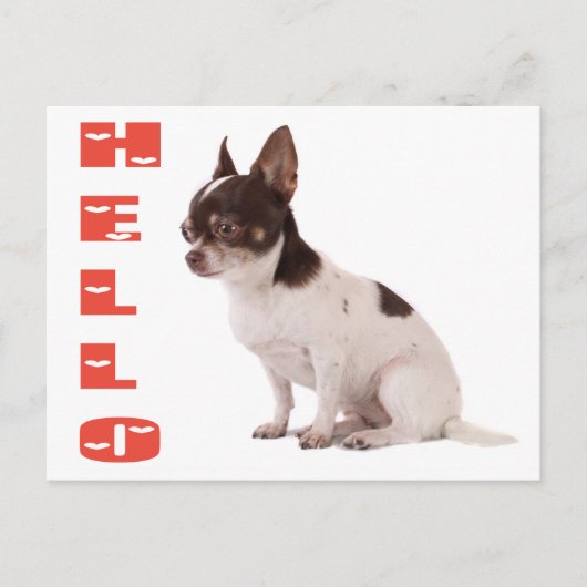 hallo Chihuahua Puppy Dog Post Card Briefkaart (Voorkant)