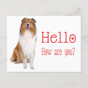 hallo Collie Puppy Dog Denking of You Briefkaart
