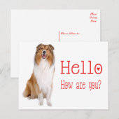 hallo Collie Puppy Dog Denking of You Briefkaart (Voorkant / Achterkant)