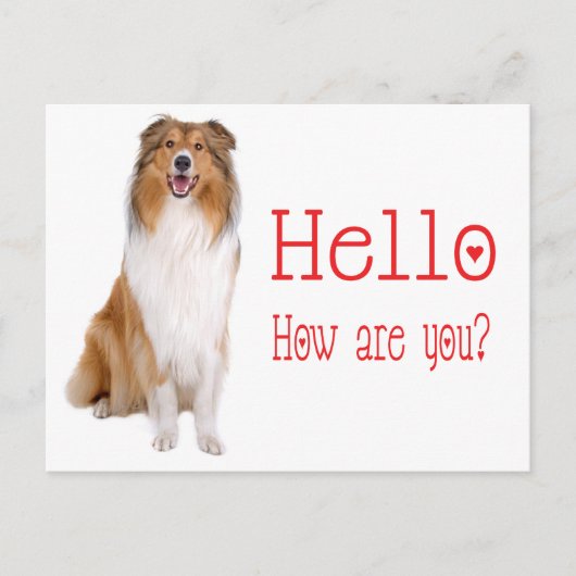 hallo Collie Puppy Dog Denking of You Briefkaart (Voorkant)