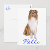 hallo Collie Puppy Dog Greeting Briefkaart (Voorkant / Achterkant)