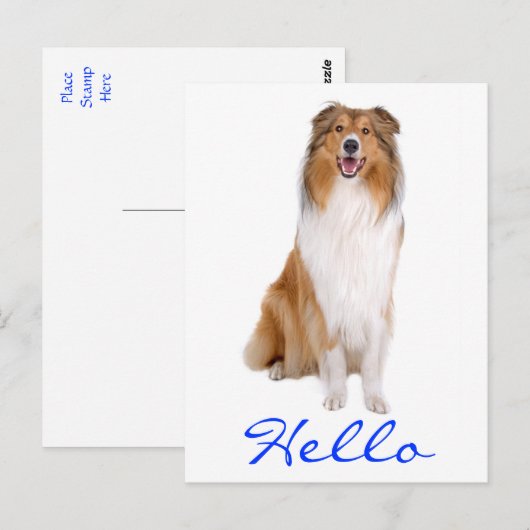 hallo Collie Puppy Dog Greeting Briefkaart (Voorkant / Achterkant)
